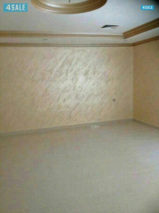 اصباغ ابو أسماء2