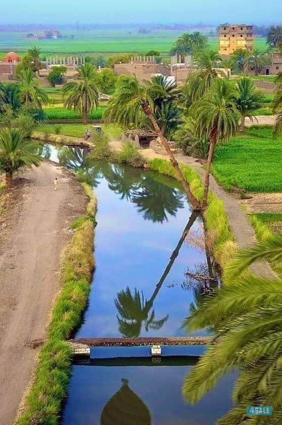 اصباغ ابومحمد اقل الاسعار3