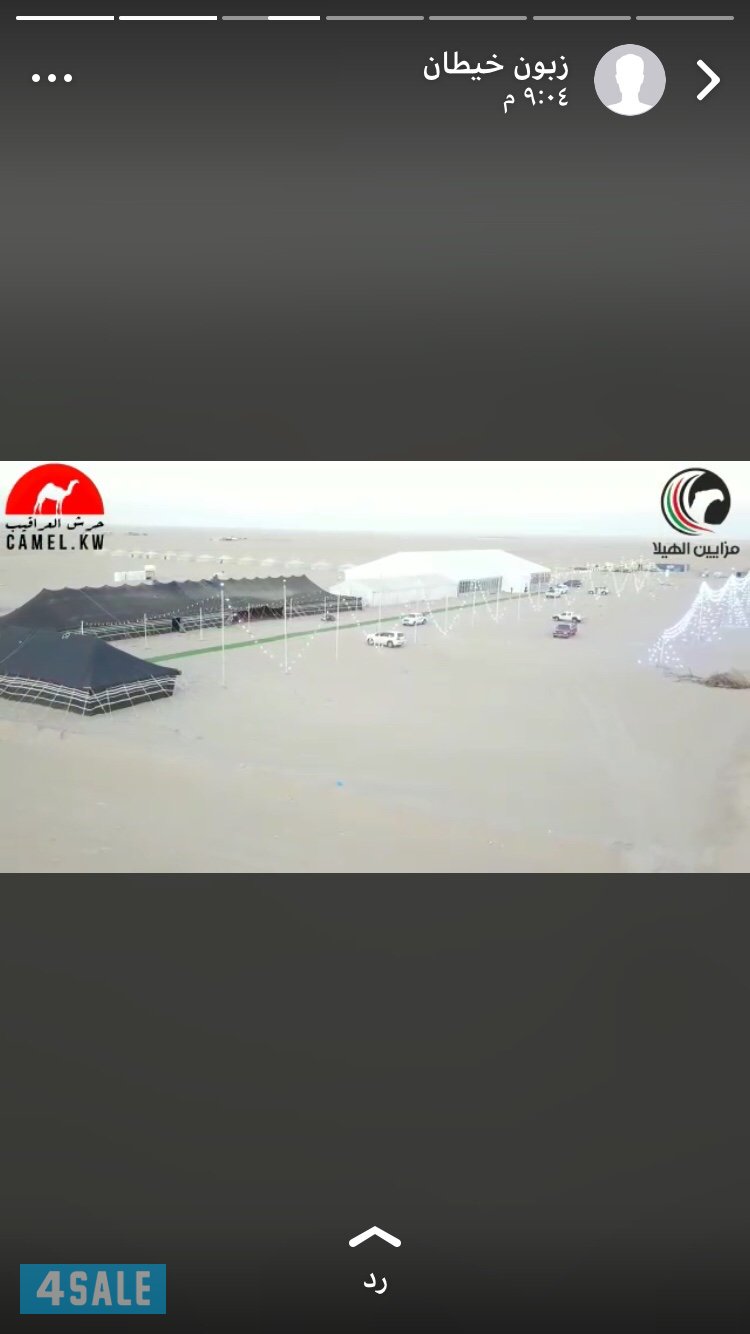 فنى كهرباء تمديد مخيمات أسعار مناسبة جدا511163616