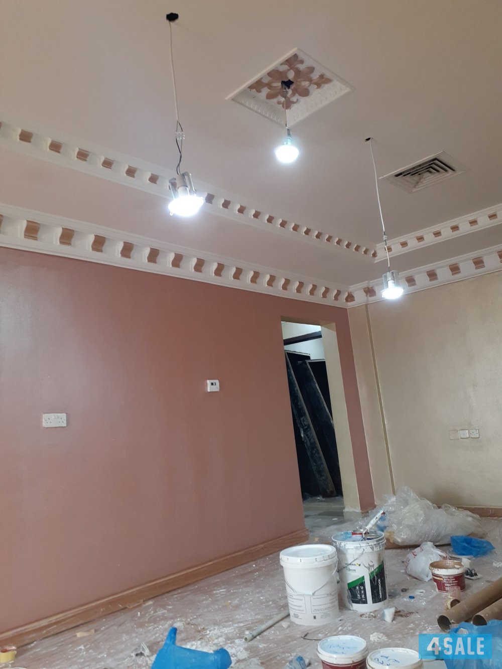 اصباغ ابوملك1