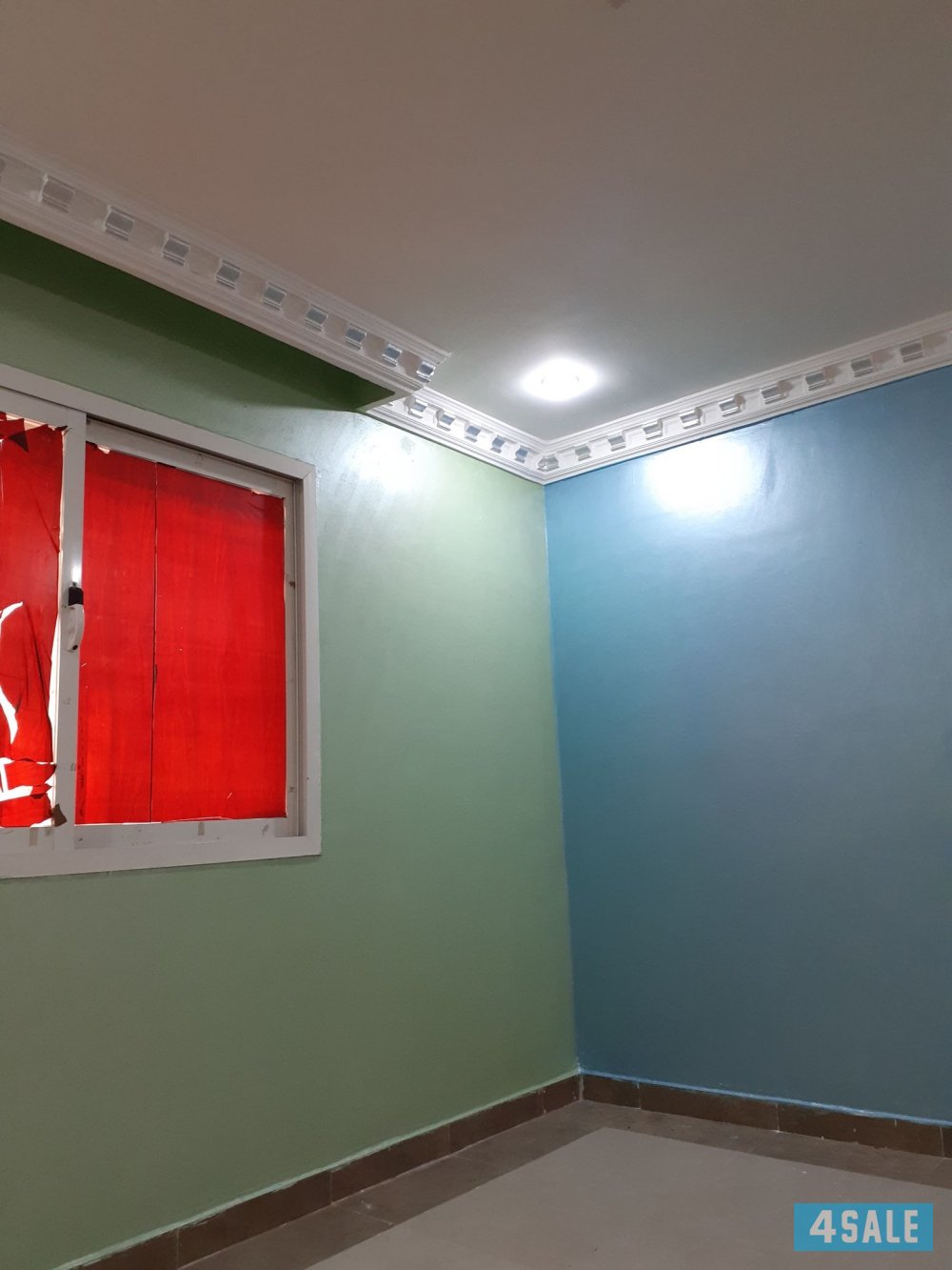 اصباغ ابوملك2