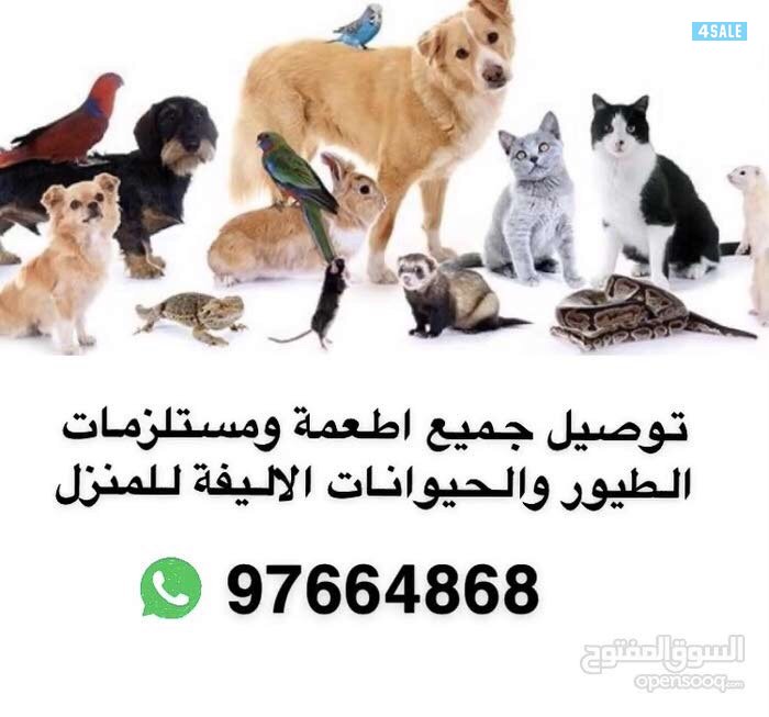 توصيل اعلاف ومستلزمات جميع انواع الطيور والحيوانات الاليفة0