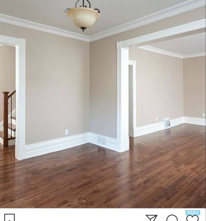 اصباغ النور2