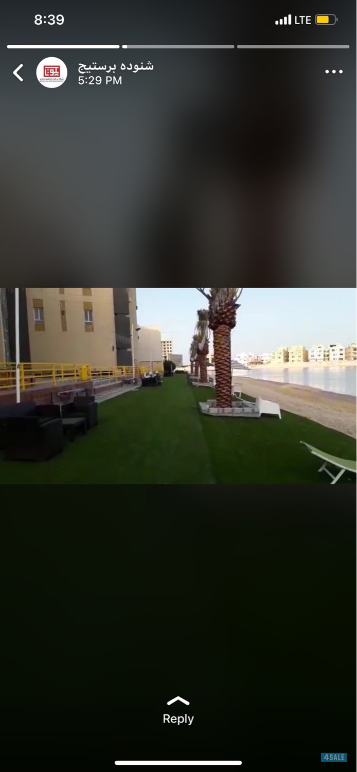 شاليه مؤثث1