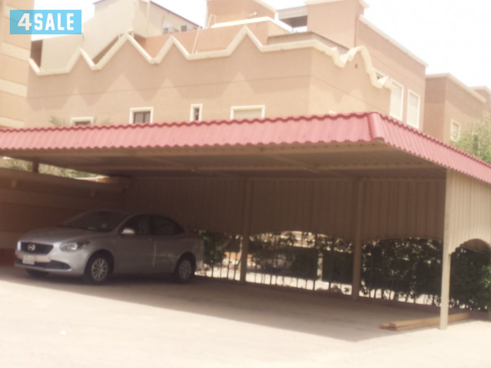 حداد مضلات عامہ3