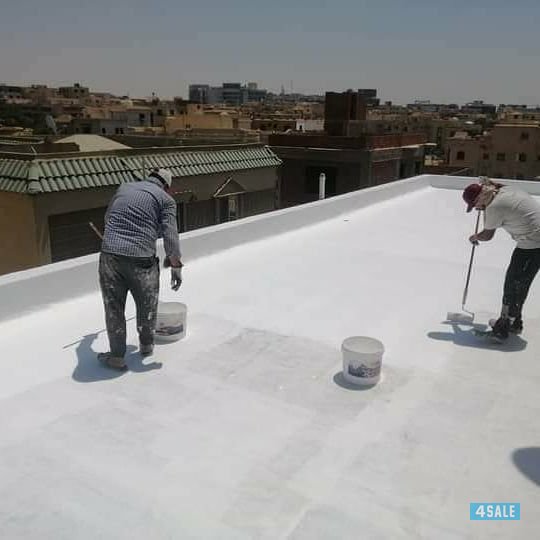 اصباغ المتحدة5