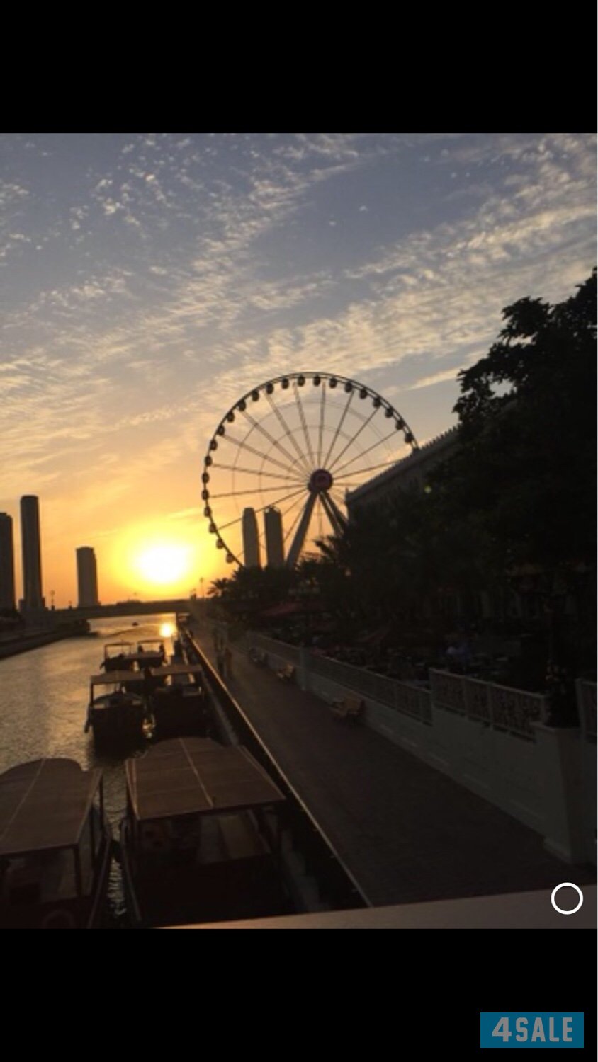 دوله الايمارات العربيه المتحده  اماره الشارقه0