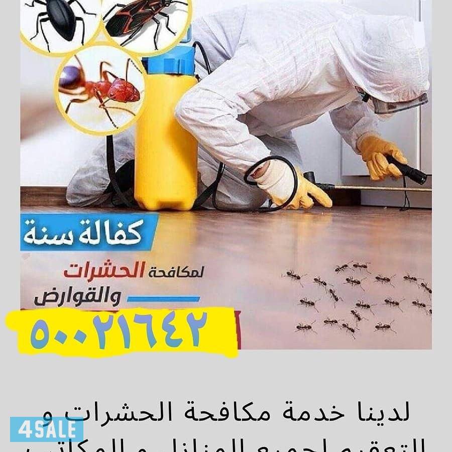الدولية لمكافحة الحشرات والقوارض0