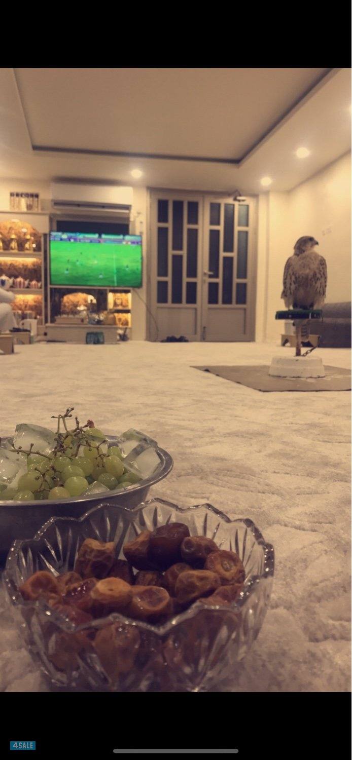 للبيع شاليه في الصبيه واجهه 25 وسكه جانبيه2