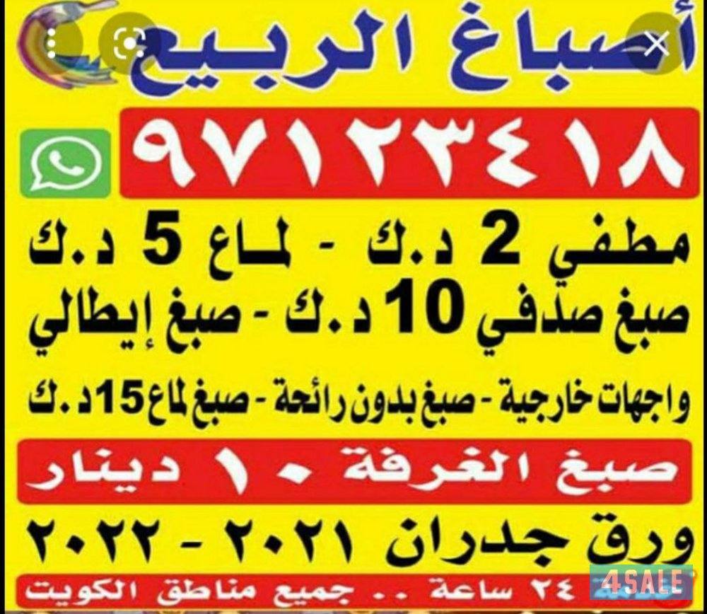 اصباغ الربيع صبغ  الغرفه 10 دك عازل أسطح جتي  روف2