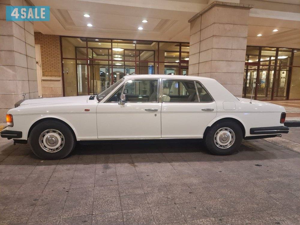 روز رايز ٨٥1