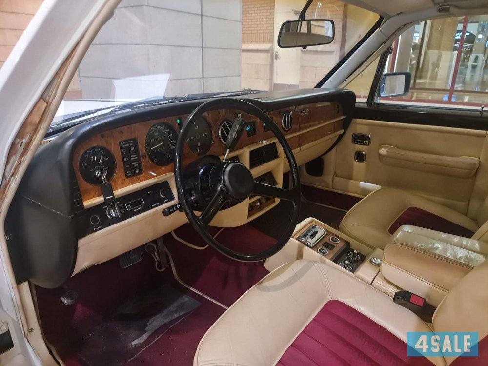 روز رايز ٨٥4