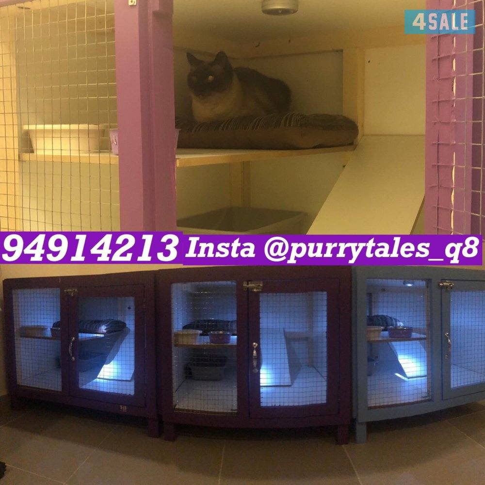 فندقه للقطط (( داخل البيت))0