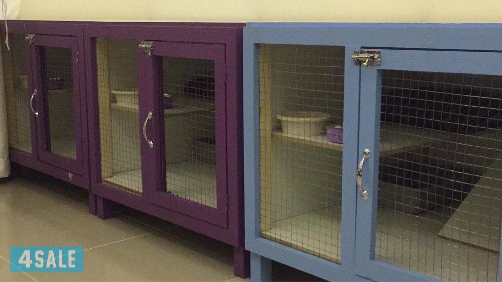 فندقه للقطط (( داخل البيت))1