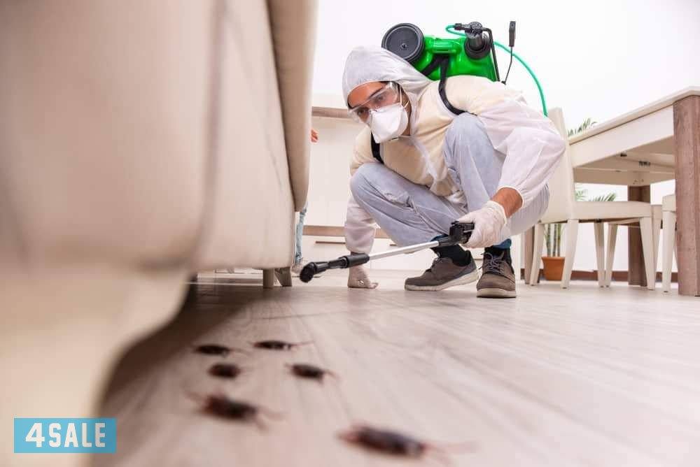 مكافحة حشرات رش حشرات مكافحه قوارض رش مبيدات رش صراصير  بأفضل الأسعار3