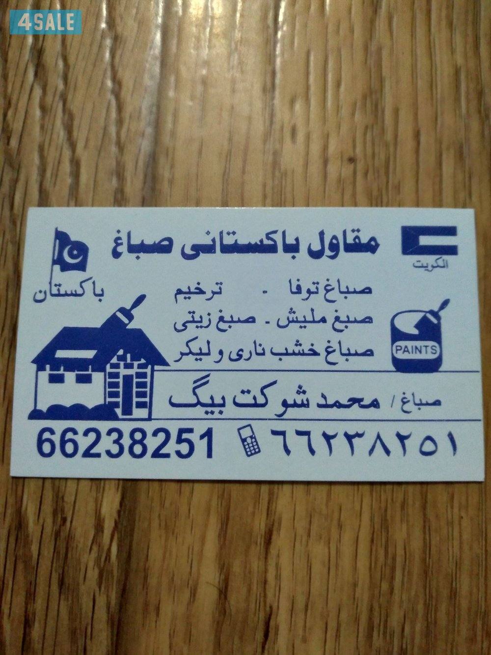 معلم اصباغ باکستانی اصباغ داخلی خارجی0