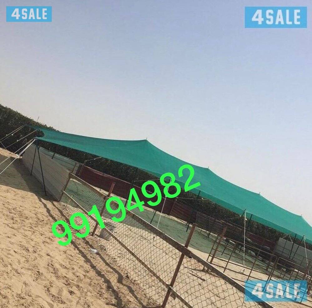 للبيع ظلال غنم اصلي كوري ٢ طبق حديد كويتي توصيل مجاناً2