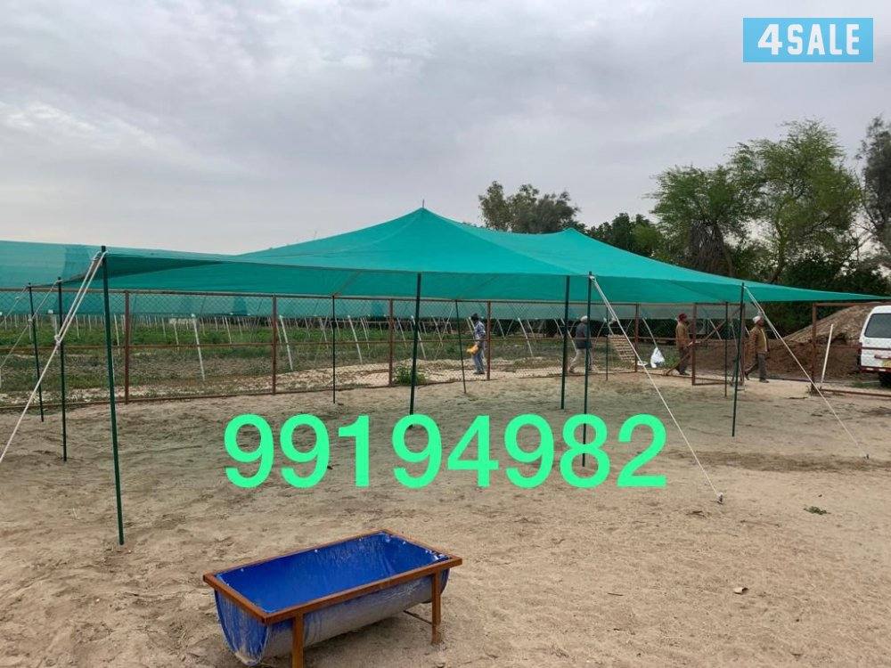 للبيع ظلال غنم اصلي كوري ٢ طبق حديد كويتي توصيل مجاناً4