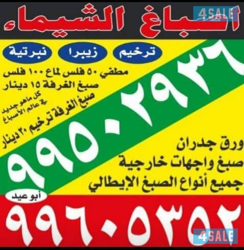 صباغ ابو حسين خصم خاص0