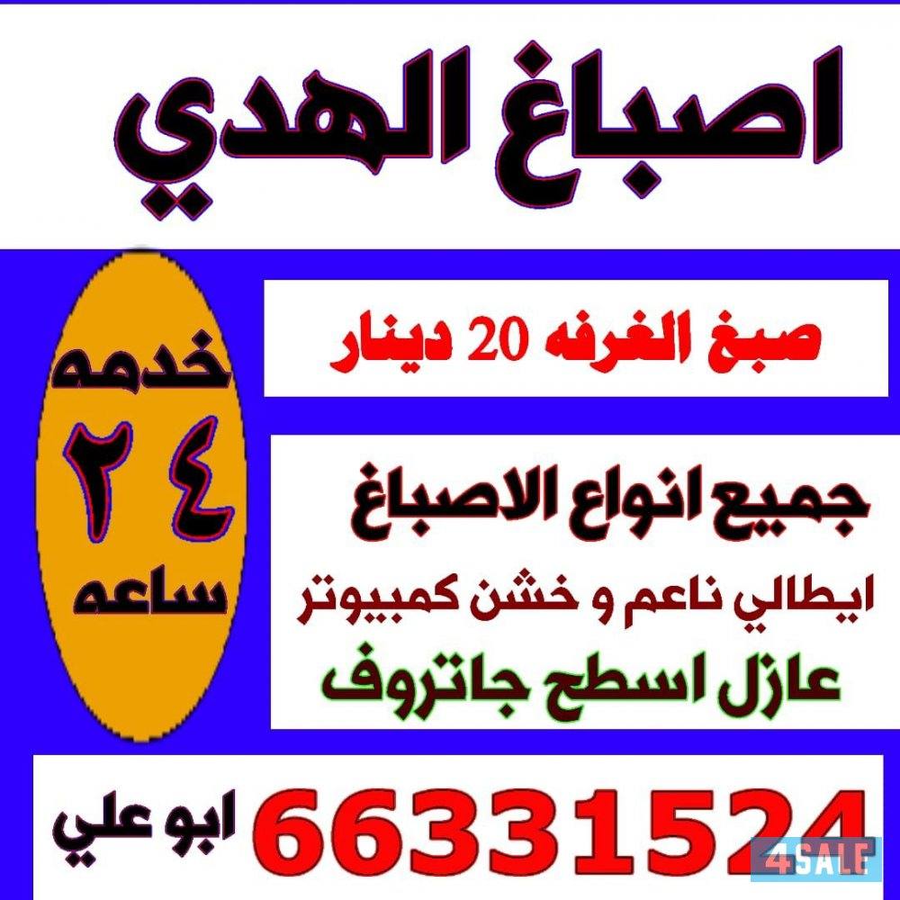 اصباغ ابو علي0