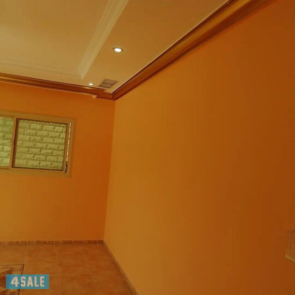 ترميمات عامه ابو حسن4