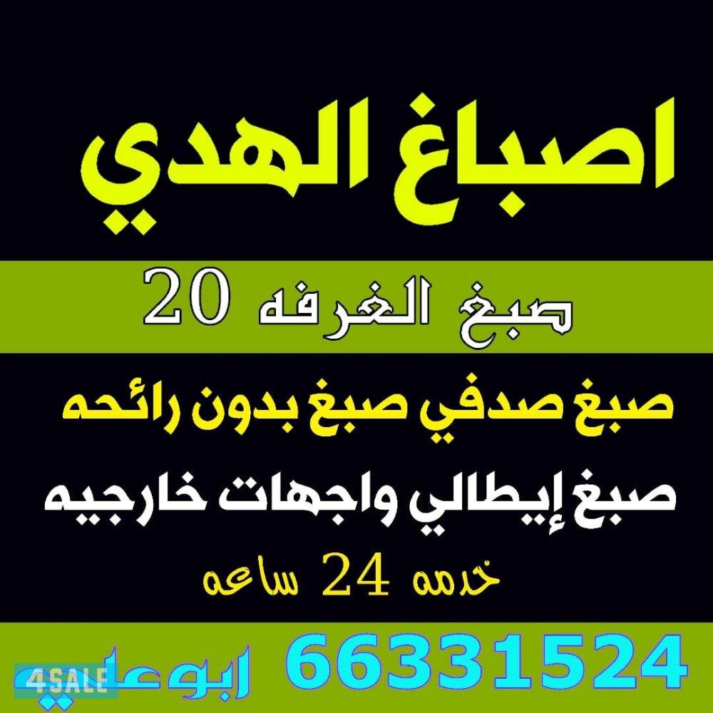 اصباغ ابو علي خدمه ٢٤ساعه4