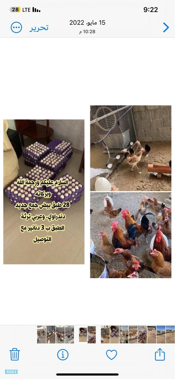 صباح الناصر0