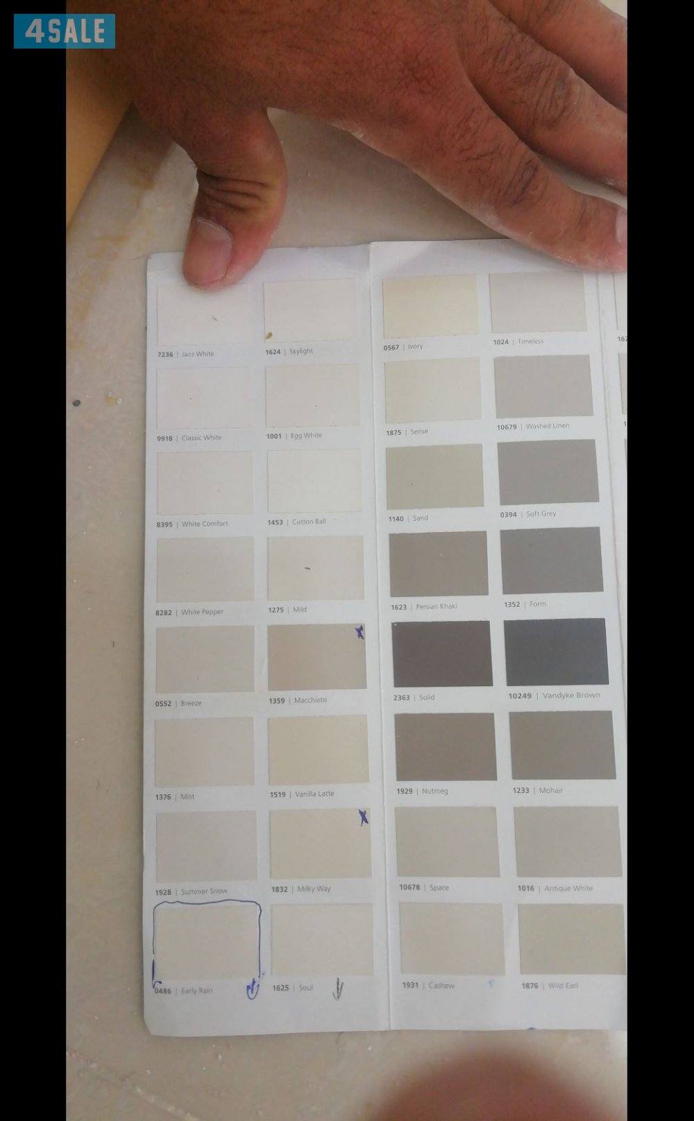 مقاول اصباغ5