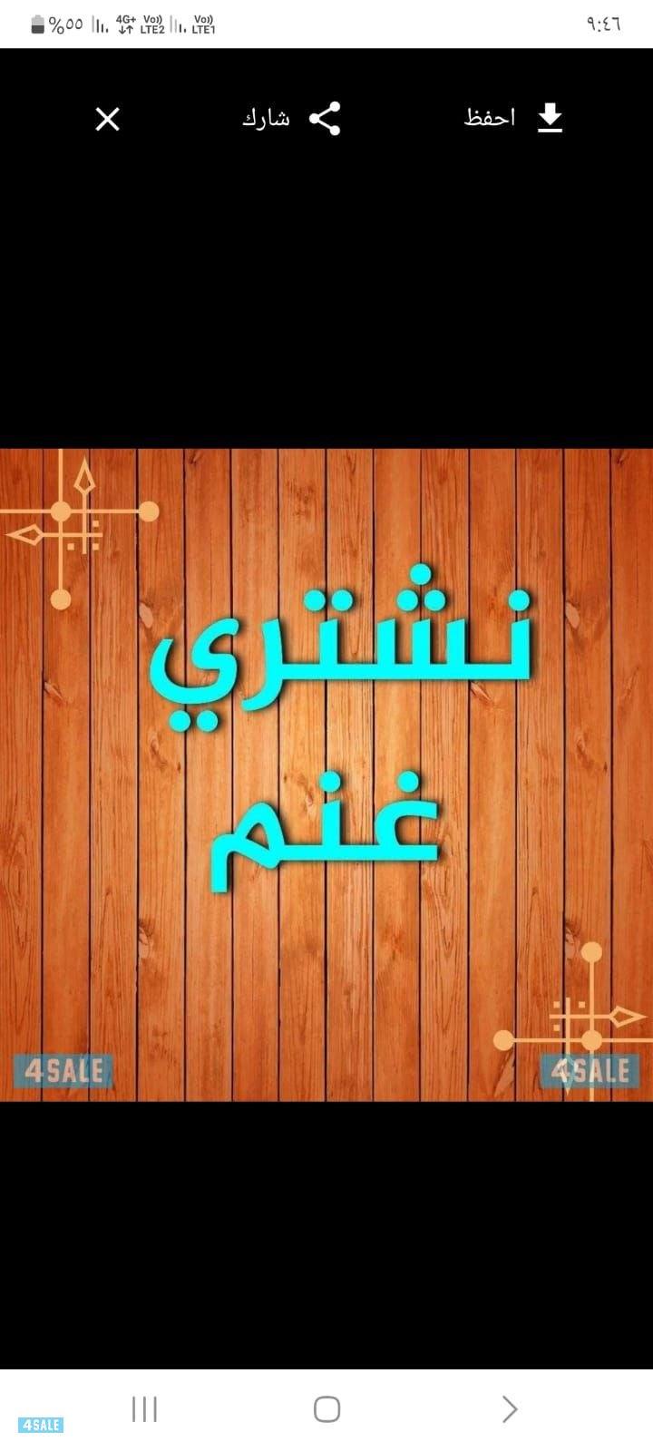 نشتري جميع أنواع الحلال في جميع مناطق الكويت0