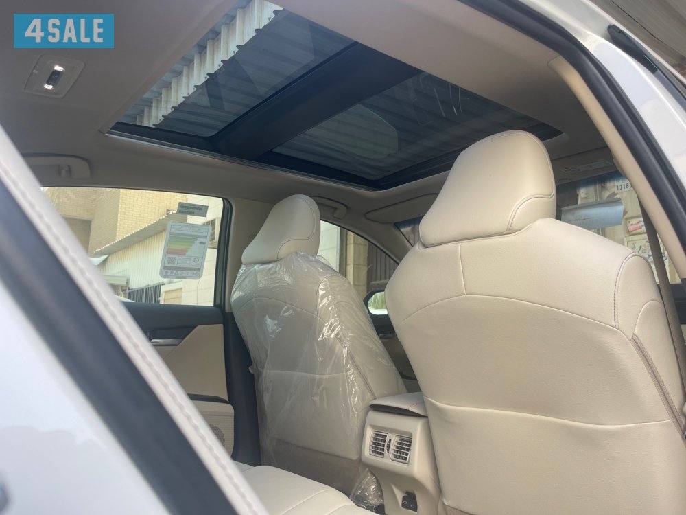 فل اوبشن 20244