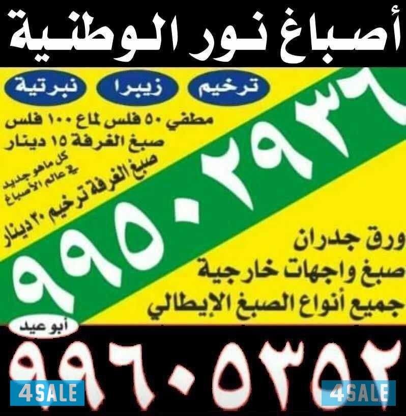 صباغ ابو حسين صبغ غرفة 15 دك0