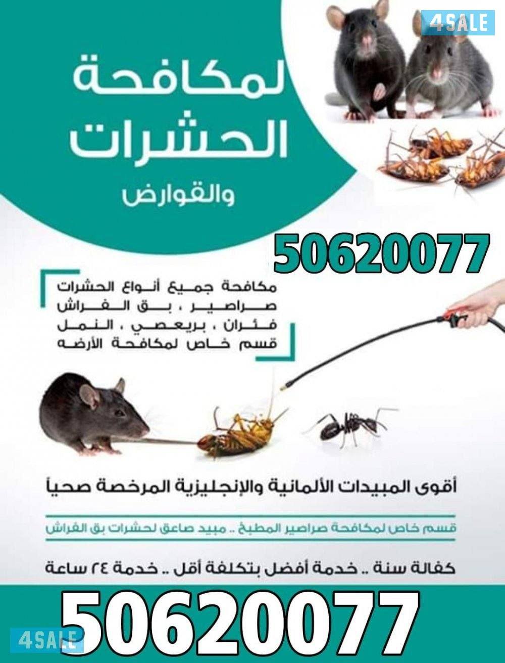 اتخلص من الحشرات و القوارض كفالة سنه خدمه افضل بتكلفة اقل جميع مناطق ا0