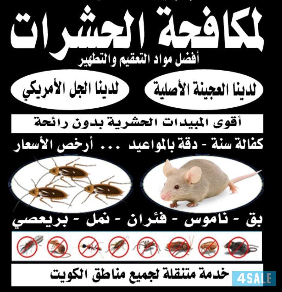 اتخلص من الحشرات و القوارض كفالة سنه خدمه افضل بتكلفة اقل جميع مناطق ا2