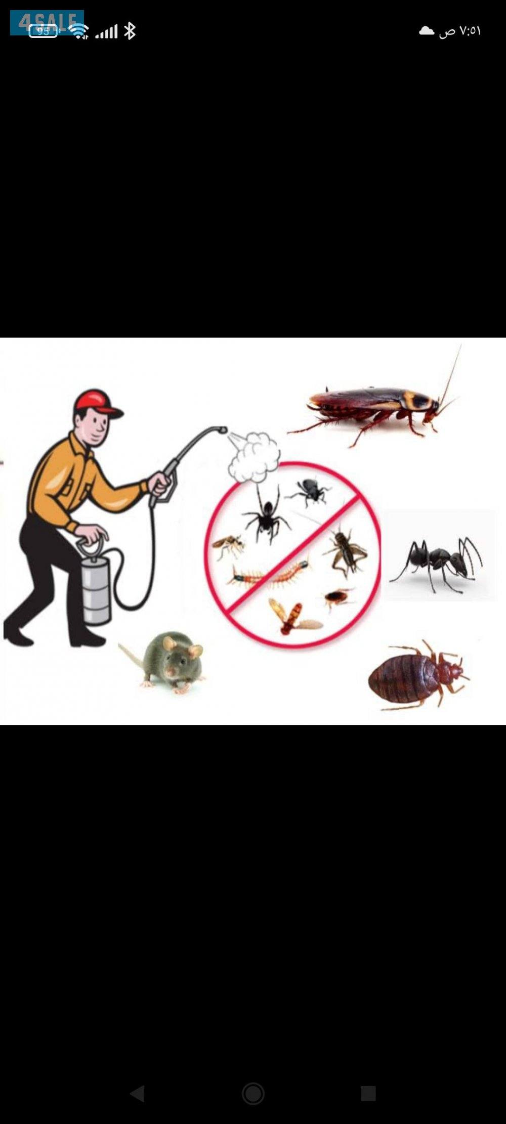 مكافحه حشرات وقوارض ارخص الاسعار كفاله سنه علي جميع اعمالنا0