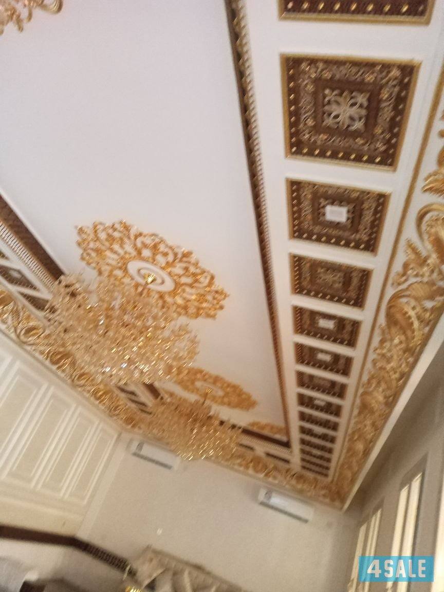 اصباغ عامه وورق حائط تعتيق وترمخيم1