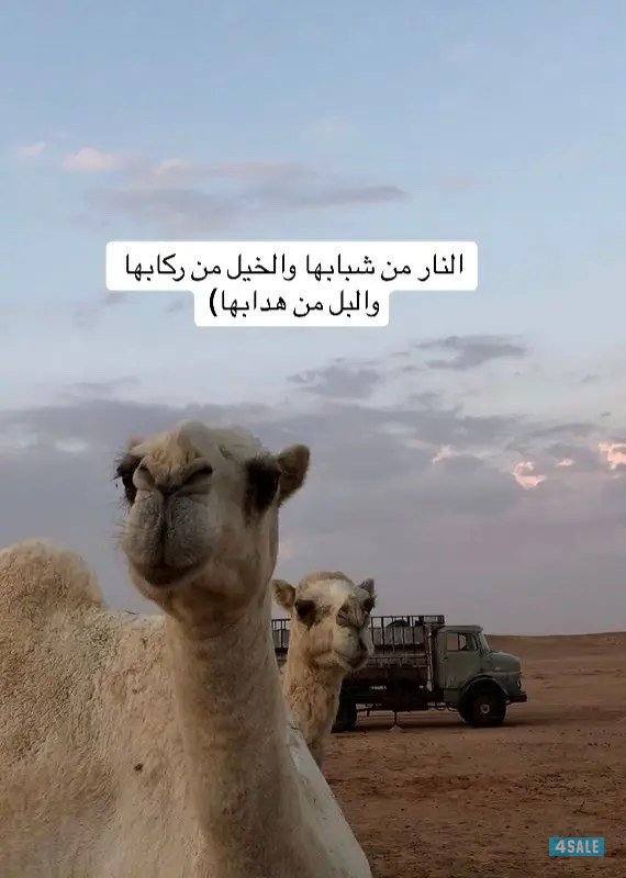 ابحث عن دوام جزئي مناسب0