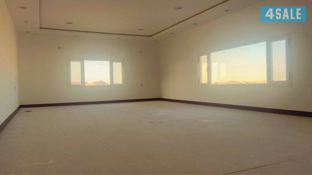 دوانيه ساندوش بنال 10 في 53