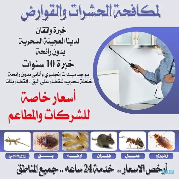 مكافحة حشرات0