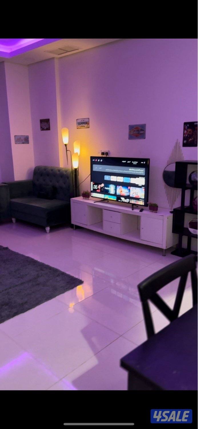 اللايجار شقه اجار يومي0