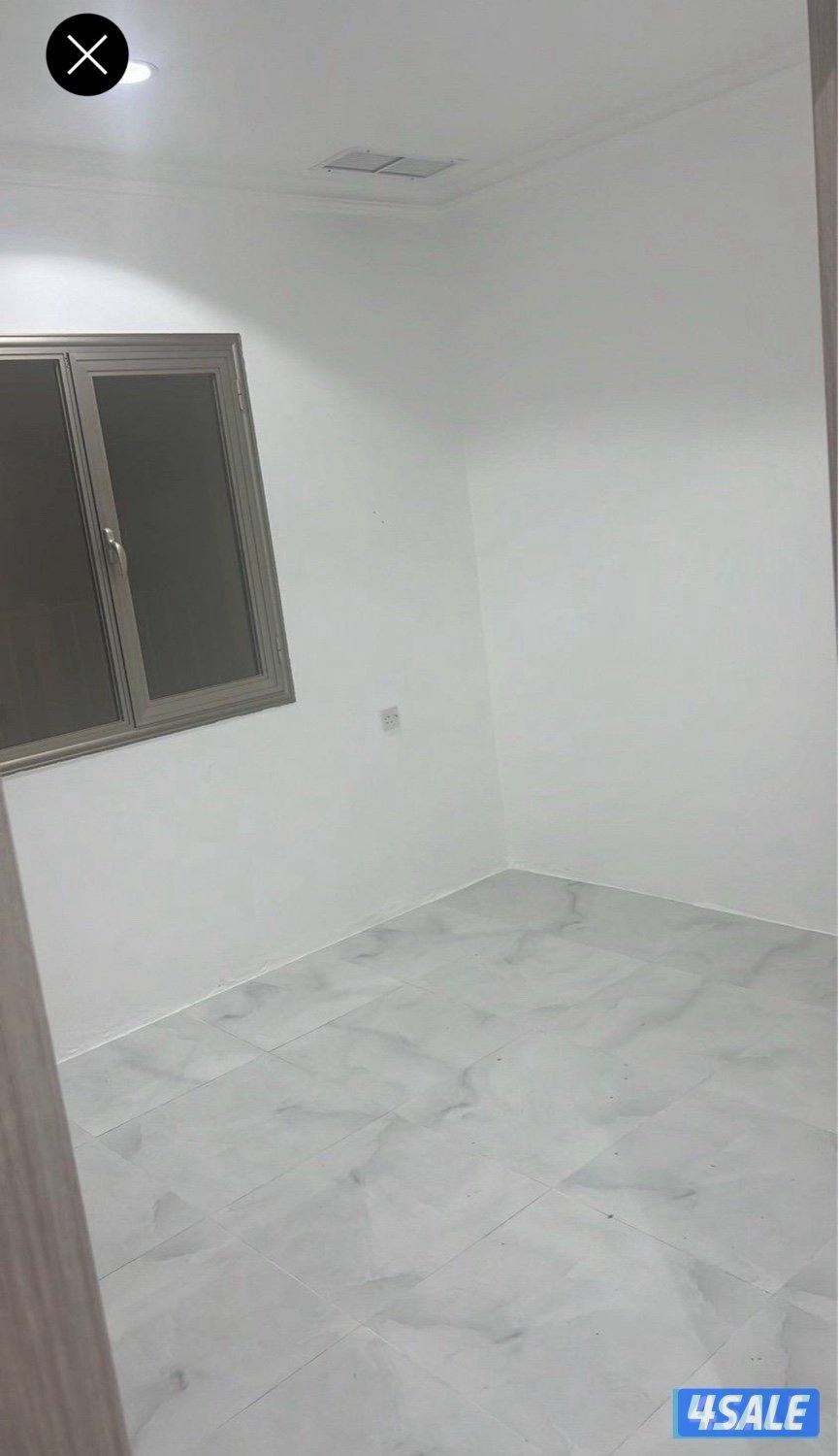 للايجار شقة بالسالمية قطعة 12 ((( عوائل )))5