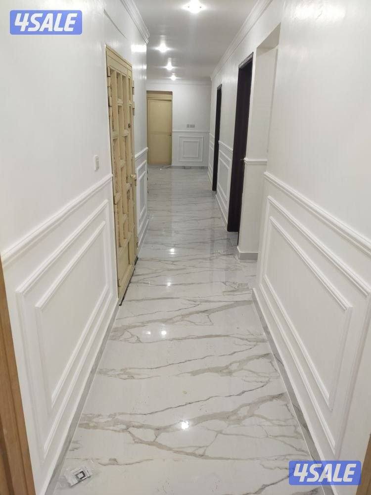 ##صباغ##صباغ##صباغ##صبغ##صباغ####صبغ##طوفه##صبغ###صبغ##صبغ##صبغ###صبغ#2