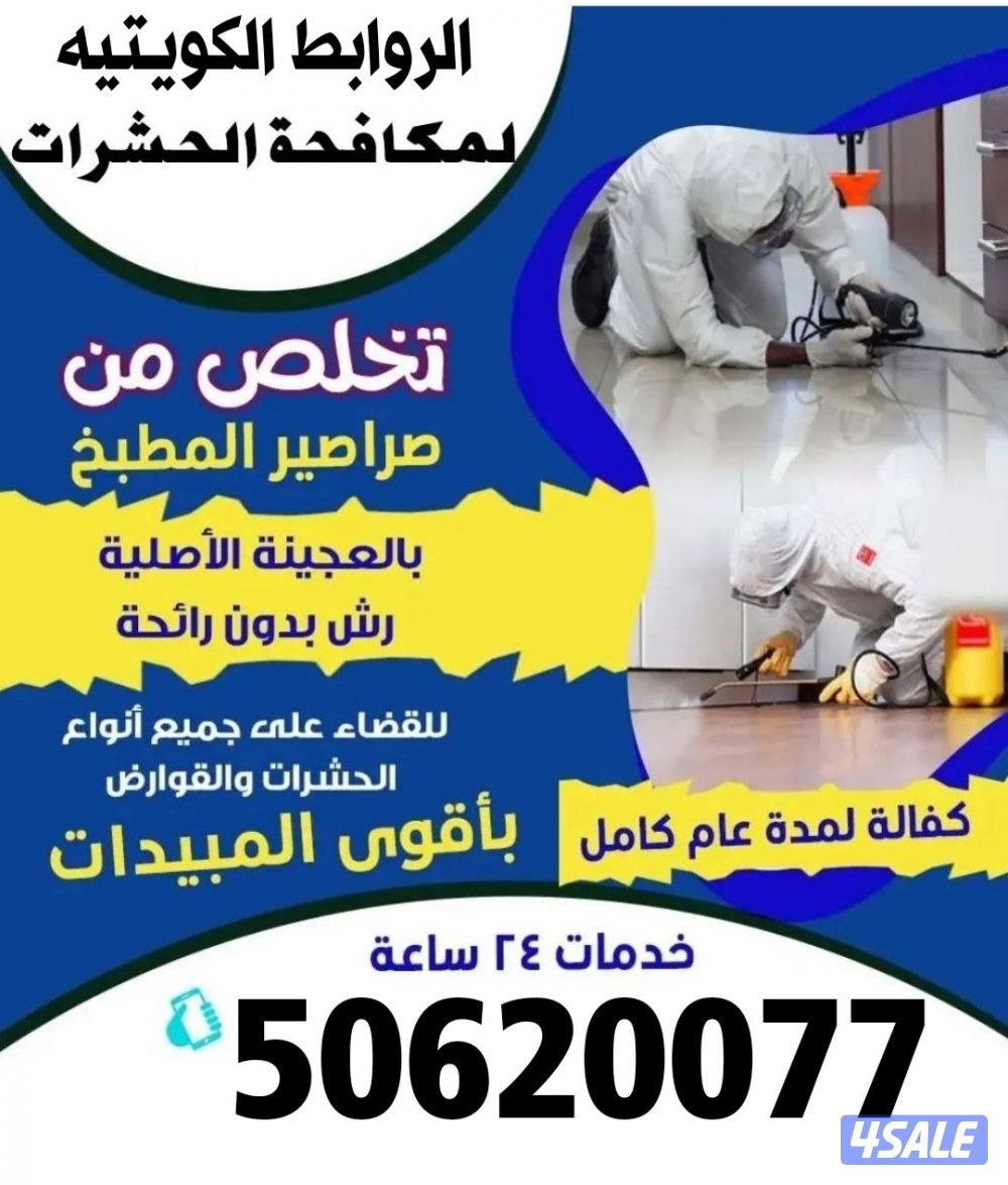 اتخلص من الحشرات و القوارض كفالة سنه خدمه افضل بتكلفة اقل جميع مناطق ا6