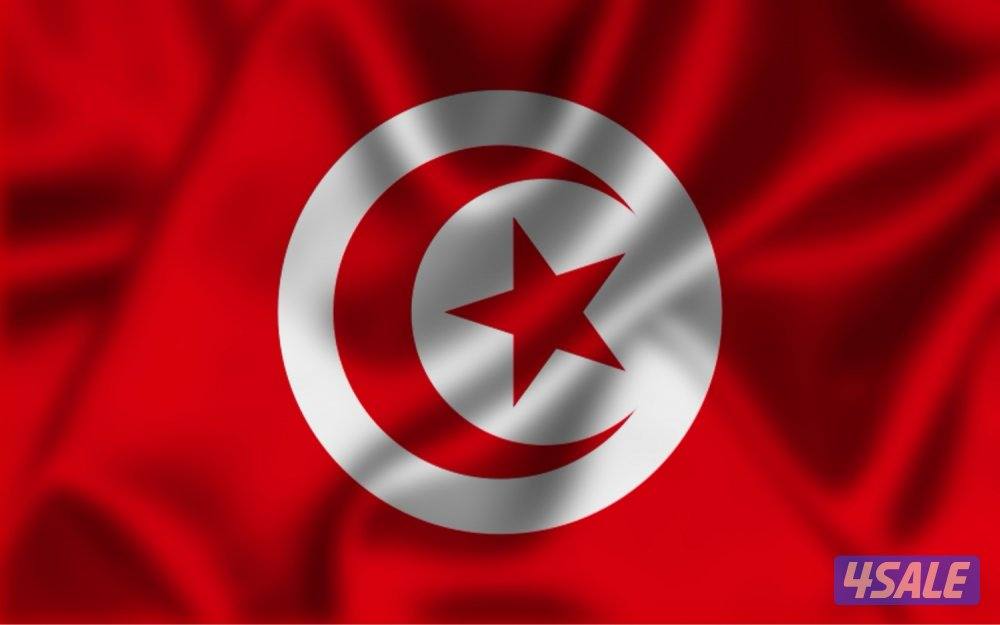 المنقف قطعة ٤0