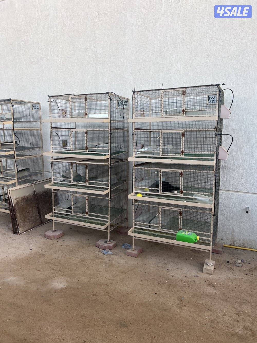 بطارية فري0