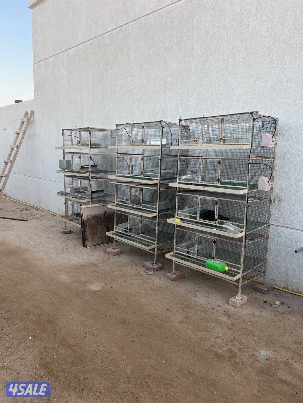 بطارية فري1