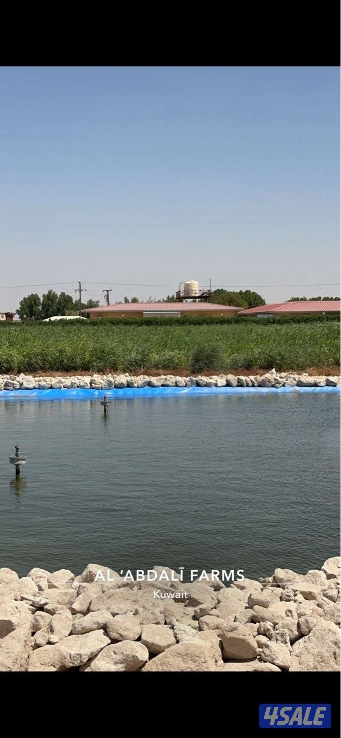 للأيجار مزرعه شهري وسنوي0