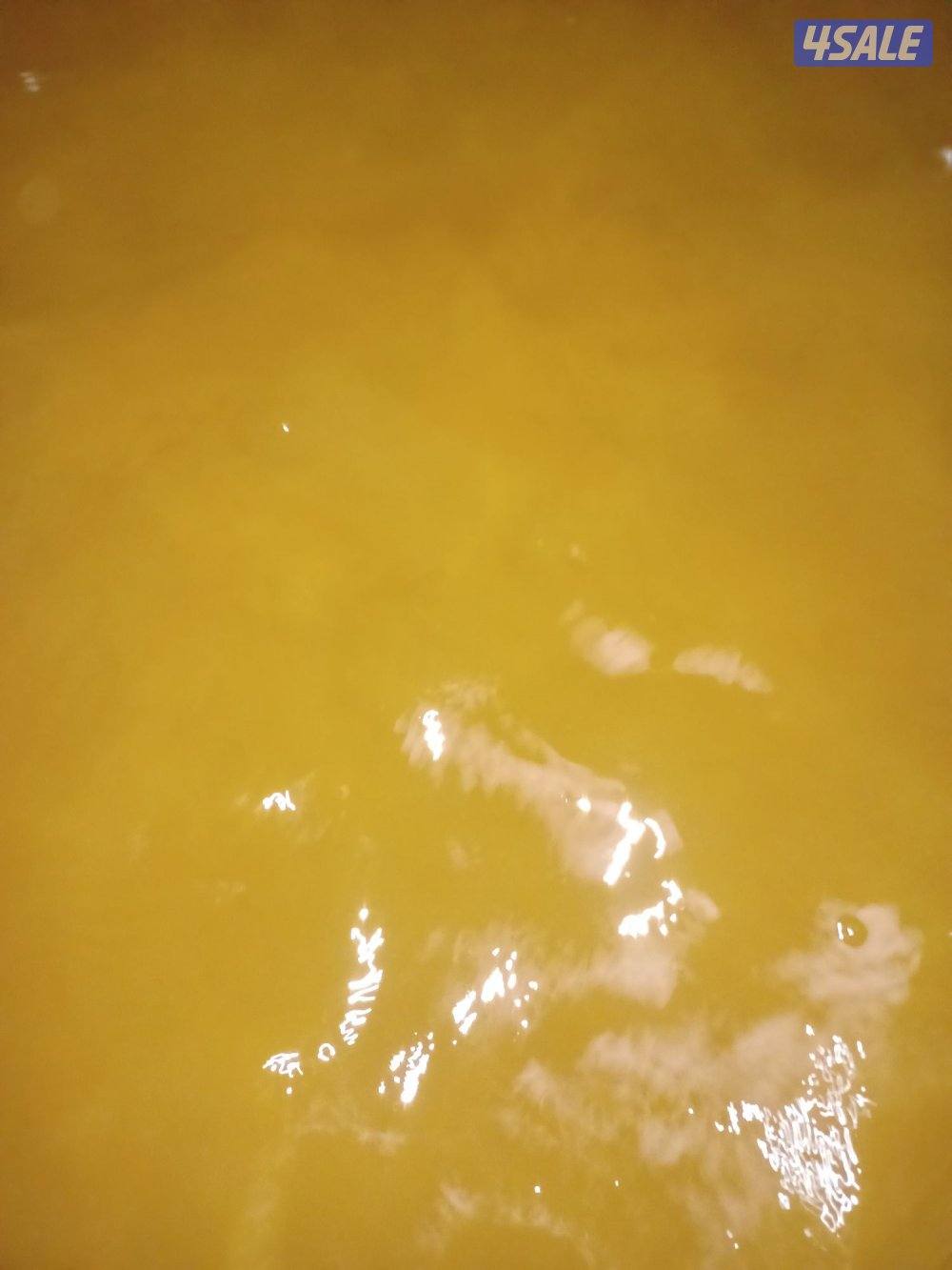 غسيل وتصليح التوانكي12