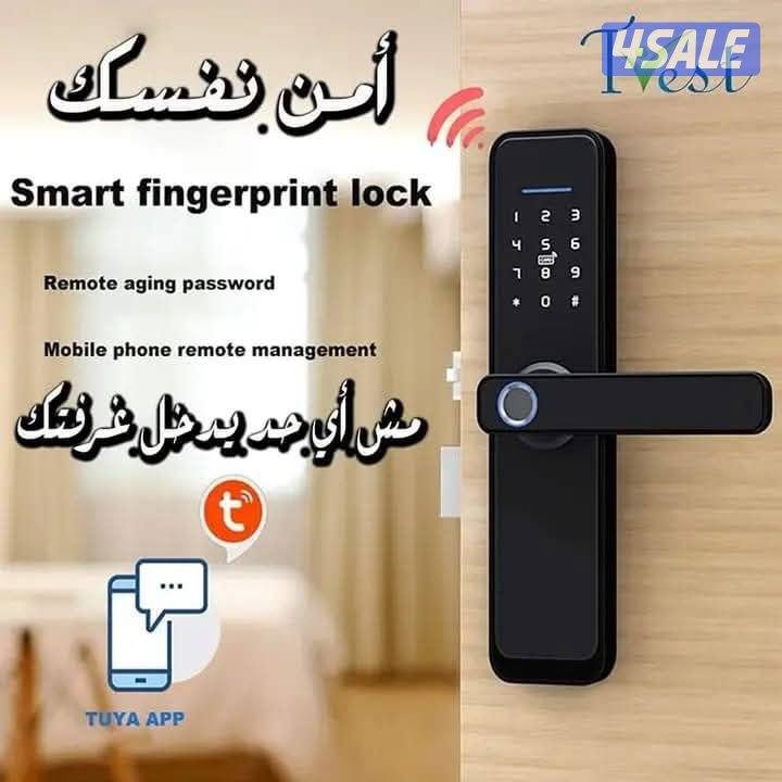 الجهراء الكويت13