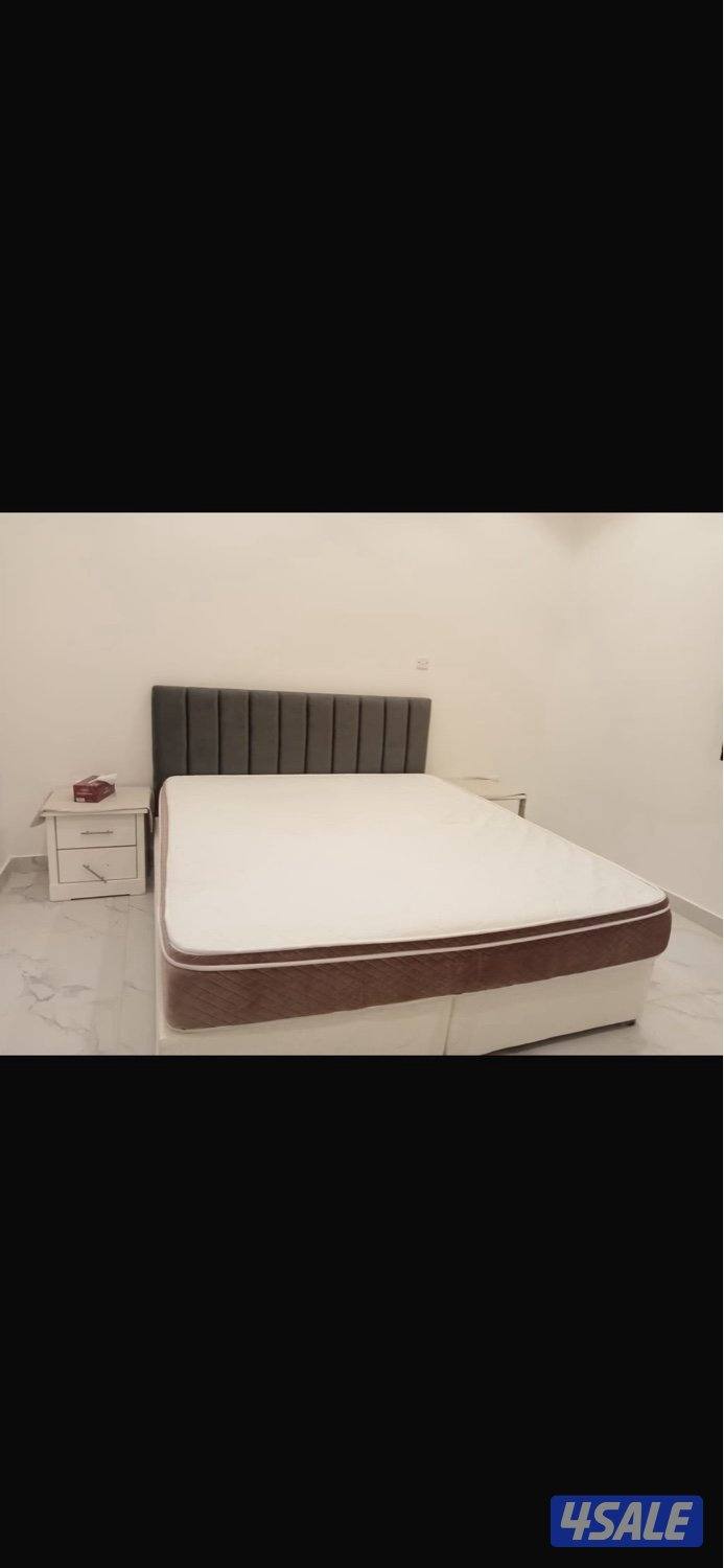 للأيجار مزرعه شهري وسنوي11