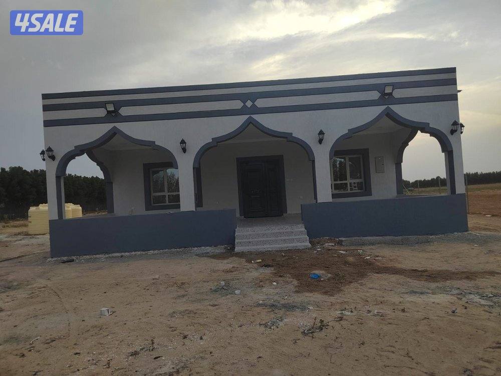 مقاولات ابو علي3